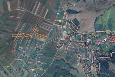 Teren extravilan 5755 mp la 25 km de Brasov in Dobarlau - 3