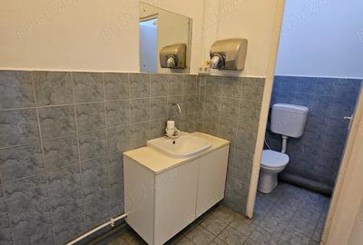 Spatiu comercial de inchiriat - Soseaua Iancului, Bucuresti - 6