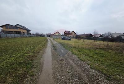 Teren 519mp Dumbrava Rosie / Strada CRANGULUI - 22