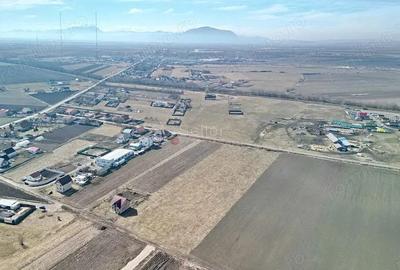 Teren Extravilan, P.U.Z. inceput - 6