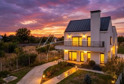 Vila eleganta-smart, arhitectura rafinata, in Cernica - 60