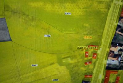 Spațiu comercial, în Dușești - 2