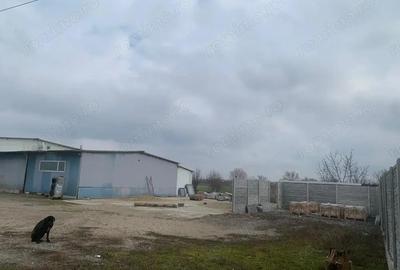 Inchiriez hala la 10 km de Timisoara! - 6