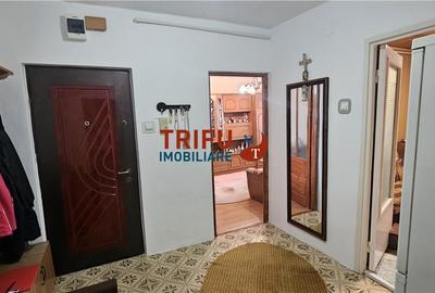 Apartament 2 camere mobilat si utilat zona Carolina Mall - 4