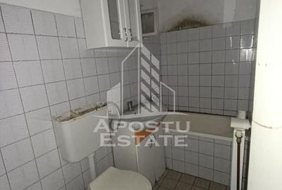 Casa individuala + garaj si anexa, oportunitate investitie, Sagului! - 24