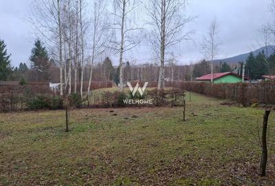 Teren deosebit pozitionat, cu livada, langa padure,  pe Valea Avrigului - 10