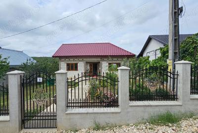 Casă cu 3 camere cu Teren 1500 Mp în Drislea - 4