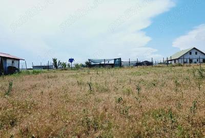 Teren pentru gospodaria ta 873mp in Sat Costi spre Lacul Vanatori - 11