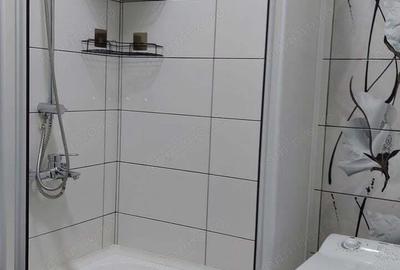 Fer spre inchiriere apartament in zona Gorjului - 4