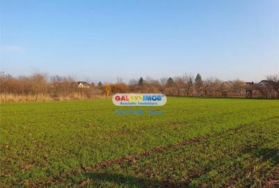 Teren de 2016 mp, în Crevedia - 3