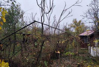 Casa batraneasca plus teren 1600mp Toporu jud. Giurgiu - 7