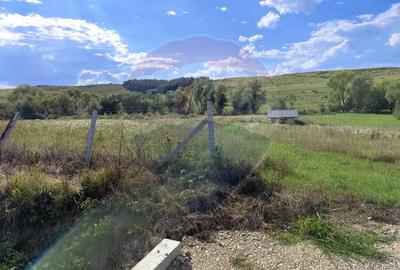 Teren intravilan Somcuta Mare! - 3