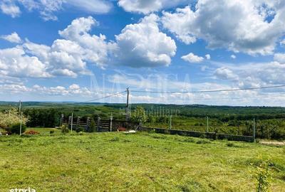 Teren de 895 mp, în Oncea - 2