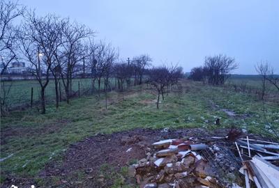 Casă cu 3 camere cu Teren 750 Mp în Gepiu