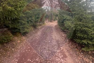 Teren Construcții intravilan de 6500 mp, în Arieșeni - 16