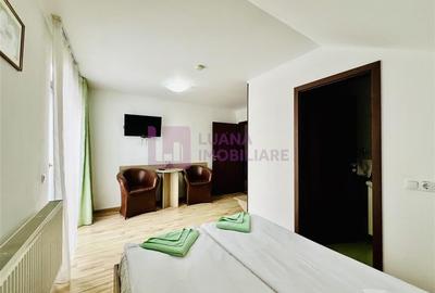 Afacere la cheie | Vila de 3 stele | Paltinis | amenajata complet - 14