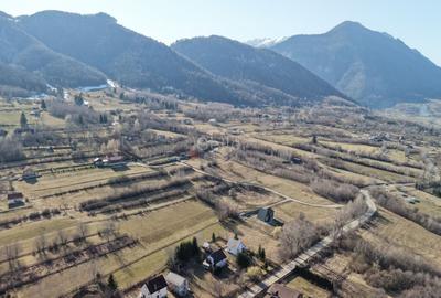 Teren Construcții intravilan de 4043 mp, în Predeluț - 35