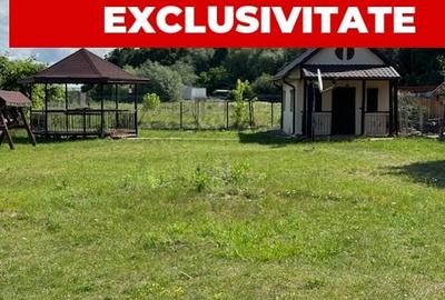 Teren 926 mp cu casa de vacanta, de vanzare, loc. Traian, jud. Bacau - 10