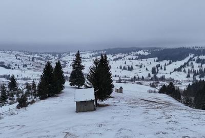 Spațiu comercial, în Breaza - 5