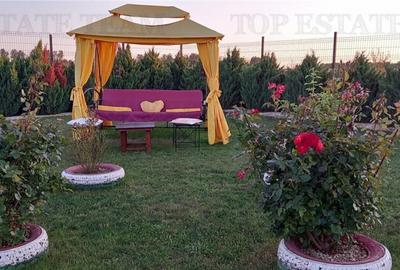 VILA TURISTICA SUPERBA COSTINESTI - 15