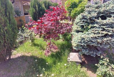 Proprietate Ultracentral - 4