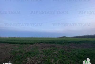 Teren de 15000 mp, în Central - 6