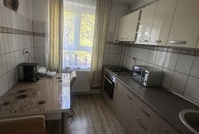 Apartament cu 2 camere semidecomandat în Radu Negru - 3