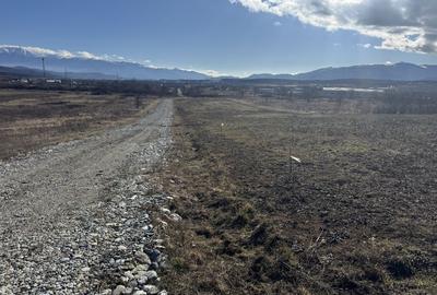 Spațiu comercial, în Mohu - 3