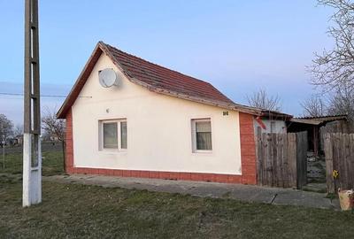 Casă cu Teren 1250 Mp în Beba Veche