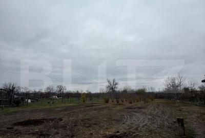 Proprietate completa in Sacuieni- Doua Case + Anexe - 12