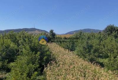 Teren de vanzare 1935 mp Piatra Neam? - Str. Plantelor - 6