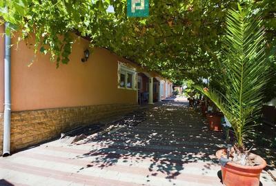 Casă cu 4 camere cu Teren 1393 Mp în Șiria - 4