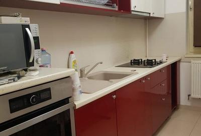 Apartament cu 2 camere decomandat în Lunca Cetățuii - 2