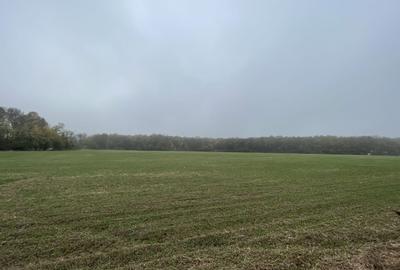 Teren Construcții intravilan de 9400 mp, în Tunari - 5