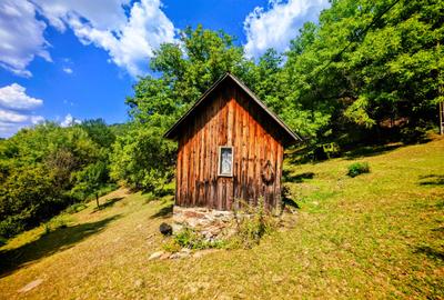 CASA TRADITIONALA, ANEXE si 46.980 mp teren partial INTRAVILAN BULZ - BIHOR - 9