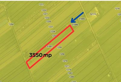 Teren  Copaceni Ilfov - parcelabil, certificat  de urbanism - 3
