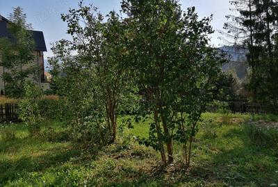 Casă cu 3 camere în Predeal - 4