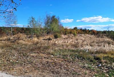 TEREN INTRAVILAN ȘI EXTRAVILAN BAIA DE FIER - 6