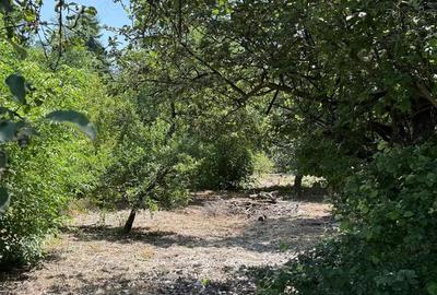 Casă cu 4 camere în Gurahonț - 3