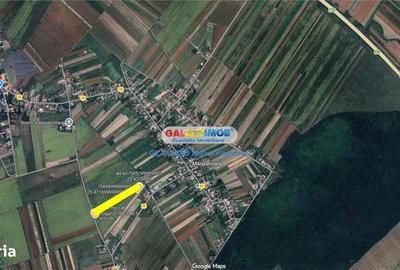 Teren de 25000 mp, în Uliești - 4