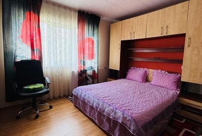Apartament cu 2 camere semidecomandat, mobilat în Rogerius - 2
