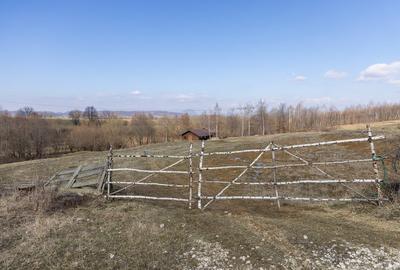 Teren Construcții intravilan de 5783 mp, în Bran - 4