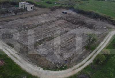 Teren de 10000 mp, în Abator - 3