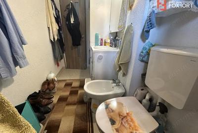 Apartament cu 3 camere semidecomandat, mobilat în Șag - 12