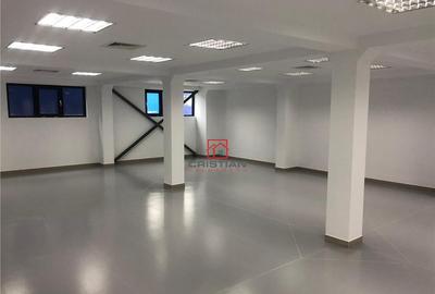 Depozit/hala/spatiu industrial Theodor Pallady - Drumul Int - 8