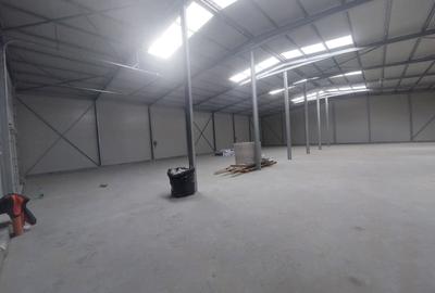 Spațiu industrial, de 580 mp, în Ovidiu - 4