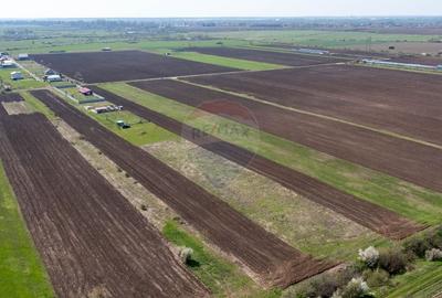 Teren Construcții intravilan de 500 mp, în Săbăreni - 5