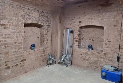 Spatiu comercia ,birouri 120 mp Dacia - 31