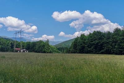 Teren intravilan de 5000, plat, orizontal la poalele muntelui, pe malul Doftanei - 6