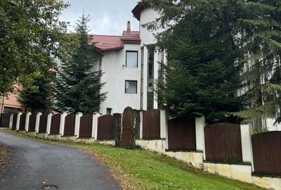 Teren Intravilan, 4629 mp, Certificat Urbanism, potential de crestere valorica, - 5